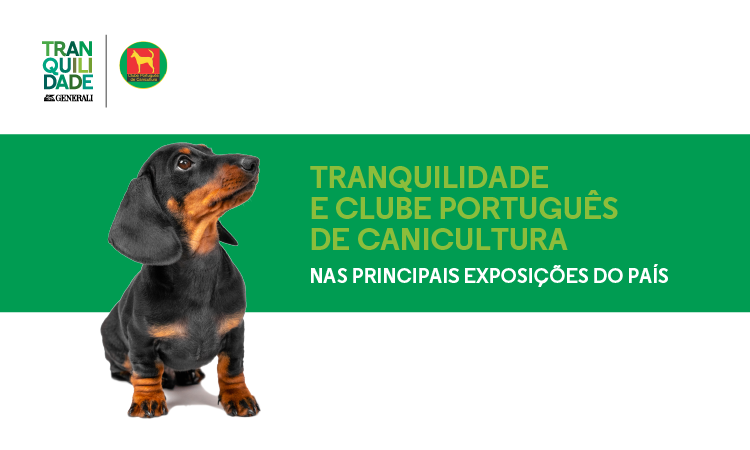 clube português de canicultura